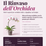 CORSO PRATICO : Il Rinvaso dell’Orchidea - Mariano del friuli