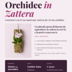 CORSO PRATICO : Orchidee in Zattera - Pordenone