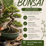 CORSO PRATICO BONSAI Pordenone